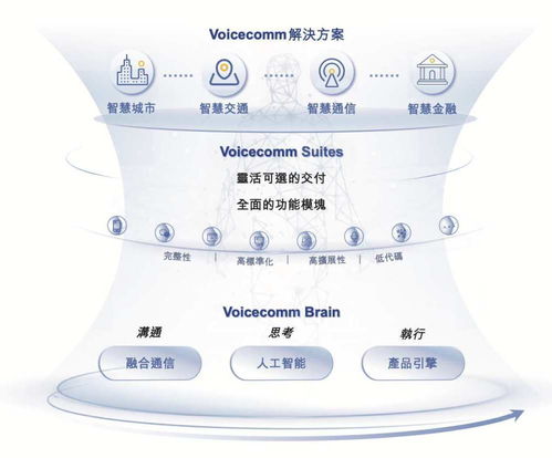 聲通科技赴港上市 盈利雙增、資本與院士雙重加持，通信技術(shù)研發(fā)咨詢賽道迎新銳