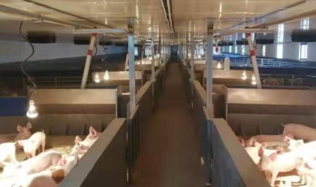 葉縣 招商引資風(fēng)頭勁，鄉(xiāng)村振興活力增，科技中介服務(wù)賦能發(fā)展新格局