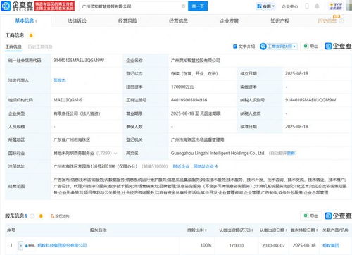 螞蟻集團成立靈知智慧控股公司，注冊資本17億進軍科技中介服務
